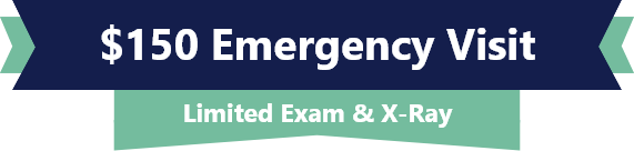 $150 Emergency Visit stamp